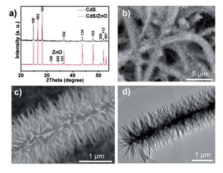 圖1：（a）CdS納米帶與CdS/ZnO樹枝狀異質結的XRD峰對比。（b）低倍數SEM下觀測到的CdS/ZnO樹枝狀異質結。（c）（d）分別對應SEM和TEM下觀測到的CdS/ZnO樹枝狀異質結。
