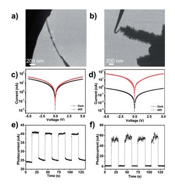 圖4：（a）（b）分別對應CdS納米帶和CdS/ZnO異質(zhì)結(jié)安置在原位光學-光纖樣品桿中的TEM圖像。（c）（d）分別對應CdS納米帶和CdS/ZnO異質(zhì)結(jié)I-V曲線的開關(guān)特性。（e）（f）分別對應CdS納米帶和CdS/ZnO異質(zhì)結(jié)對周期性光信號的響應特性。