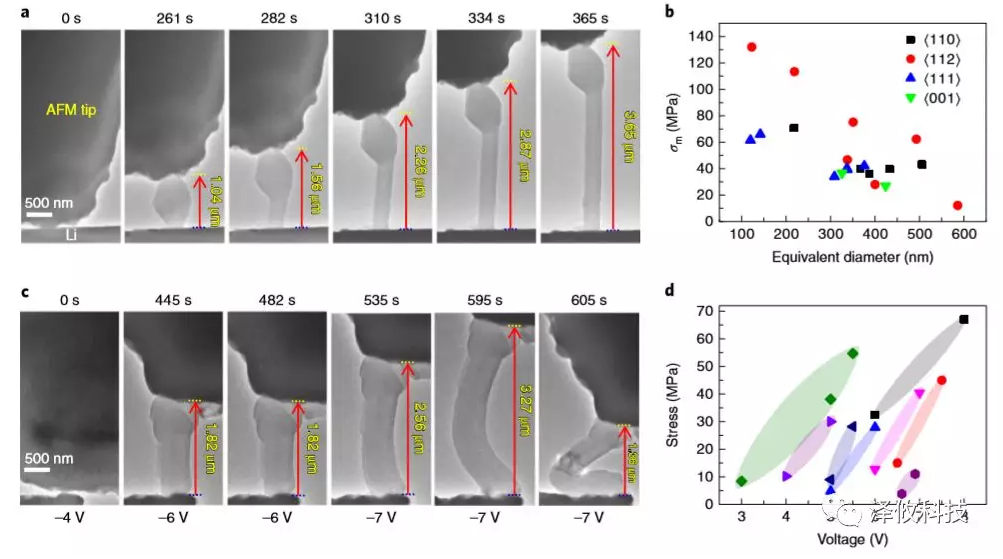 鋰晶須生長(zhǎng)的原位AFM-ETEM成像以及在施加電壓下同時(shí)測(cè)量鋰晶須的應(yīng)力變化。