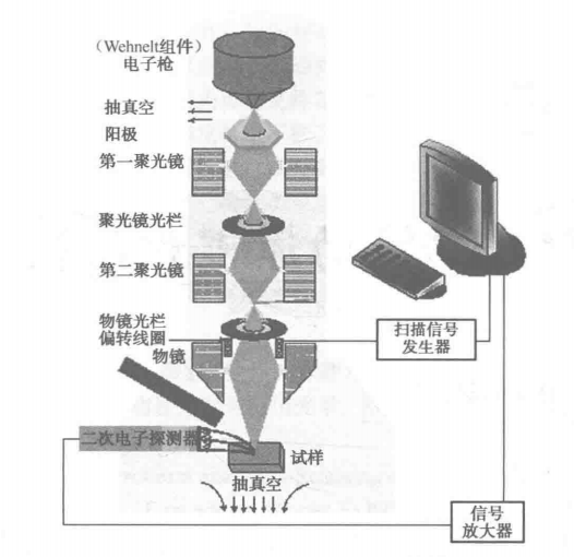 臺式掃描電子顯微鏡結構原理示意圖