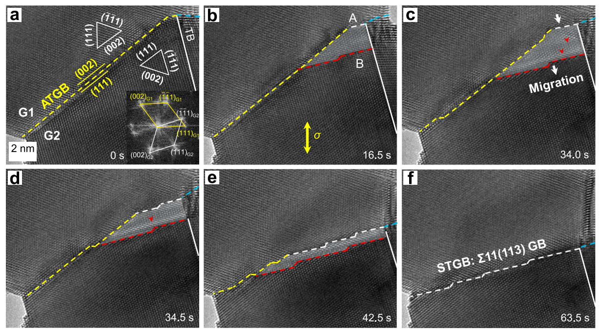 晶界動(dòng)態(tài)調(diào)整的原位觀測(cè)